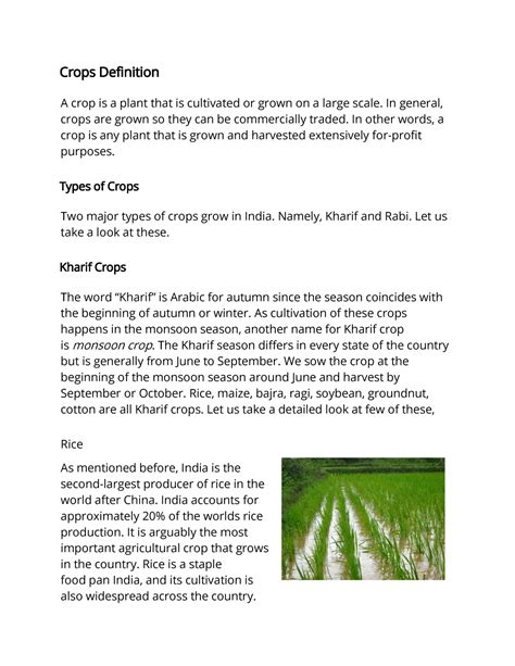 crops traduction|crop meaning in french.